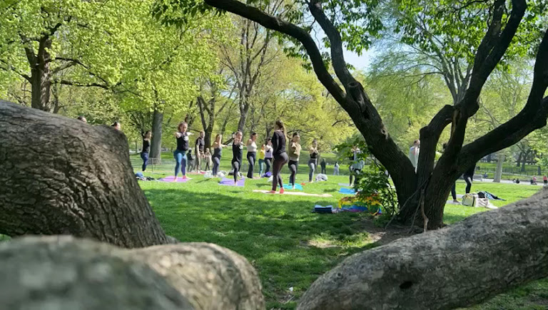 Yoga in Central Park — New York, New York (3)