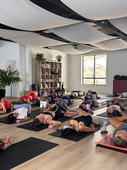 Yoga Moth — Orlando, Florida (2)