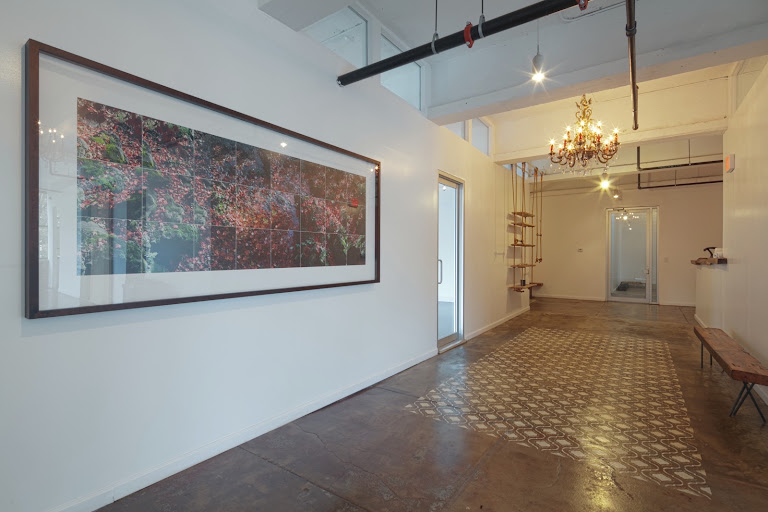Yoga Tribe Brooklyn — Brooklyn, New York (3)