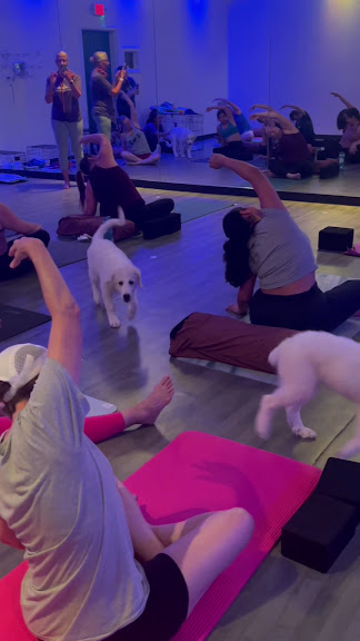 YogaSix West University — Houston, Texas (3)
