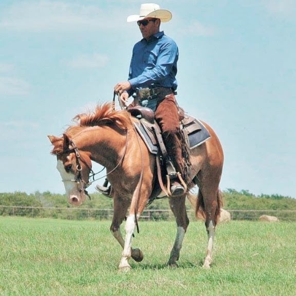Younger Stables and Arena — Sports Club in Azle, Texas