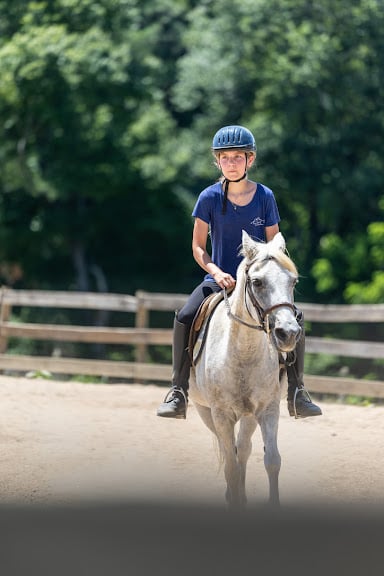 Zephyr’s Way Stable